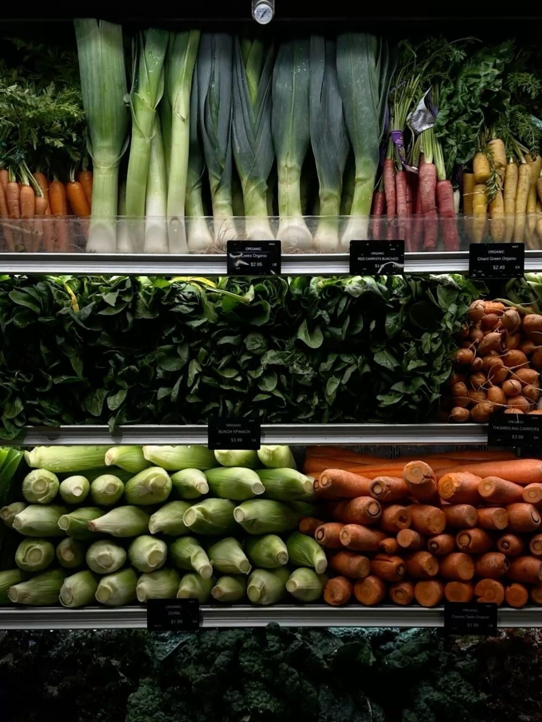 50% tratamiento profesional + 50% hábitos = resultados reales